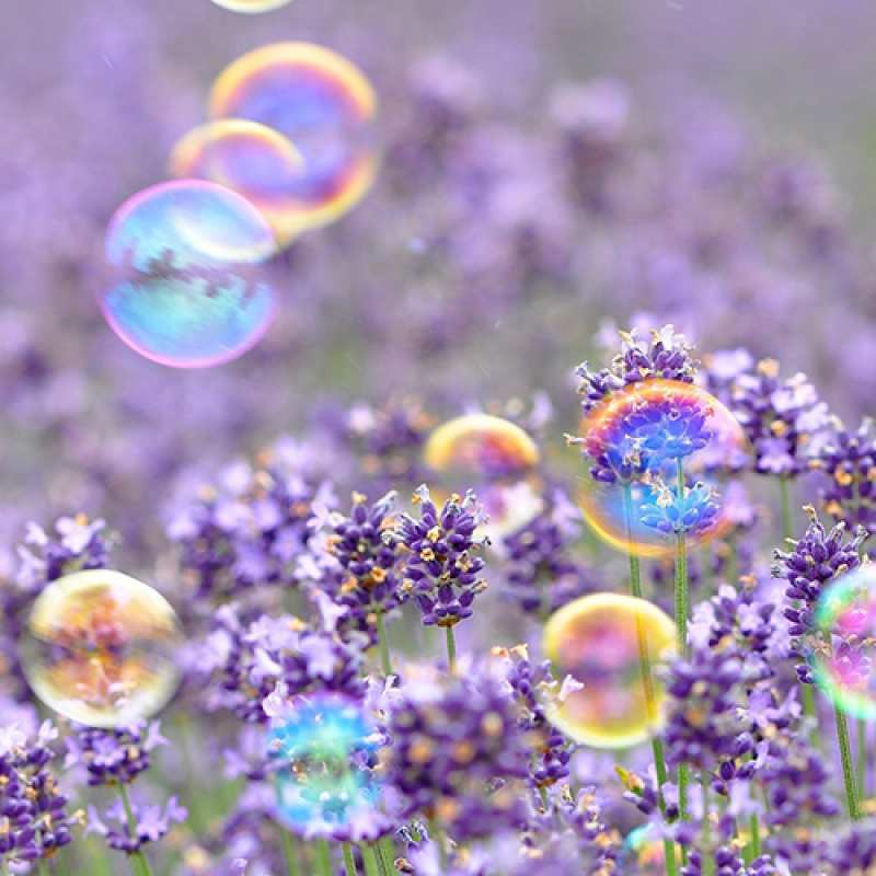 Картинка Люблю тебя, 