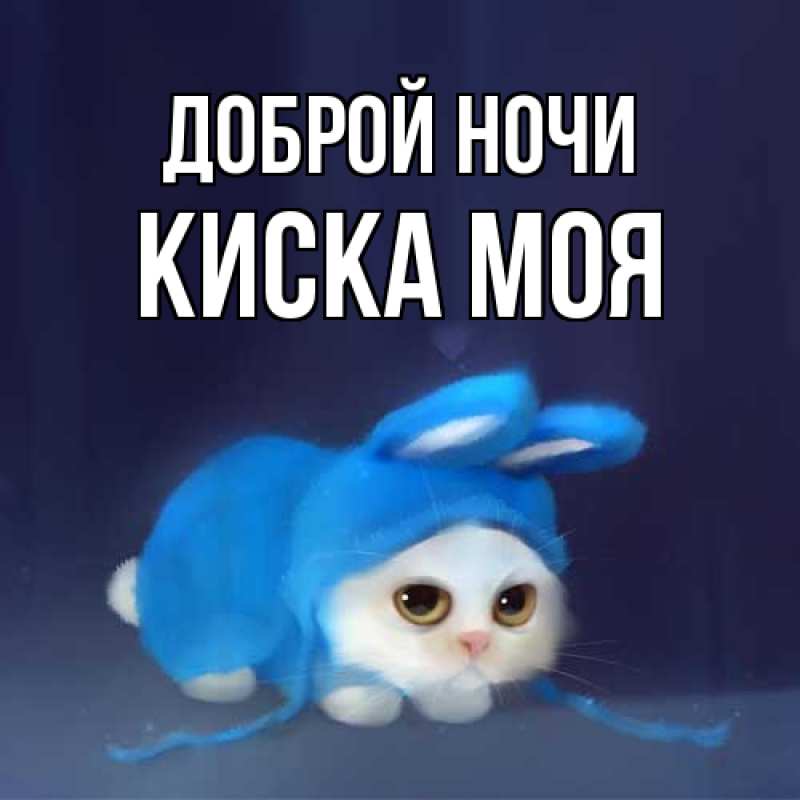 Картинка Доброй ночи, Киска моя