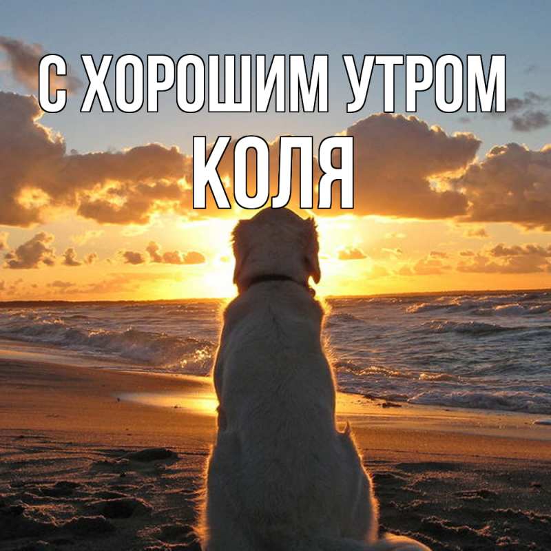 Картинка С хорошим утром, Коля
