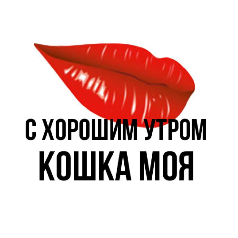 Картинка С хорошим утром, Кошка моя