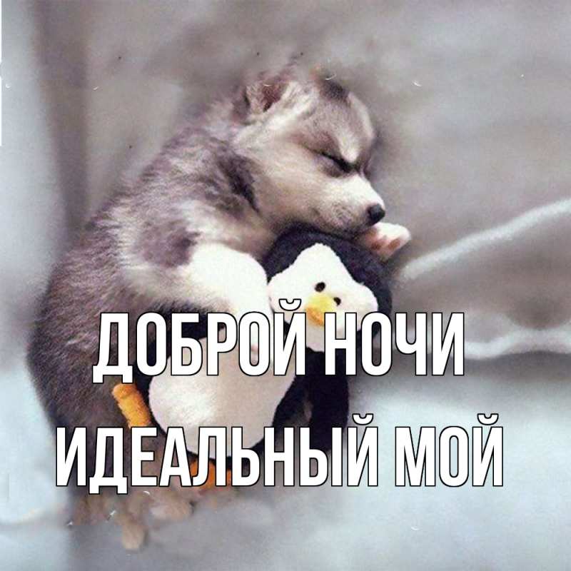 Картинка Доброй ночи, Идеальный мой