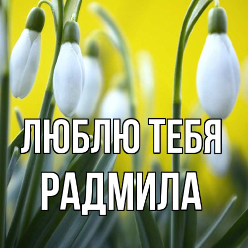 Картинка Люблю тебя, Радмила