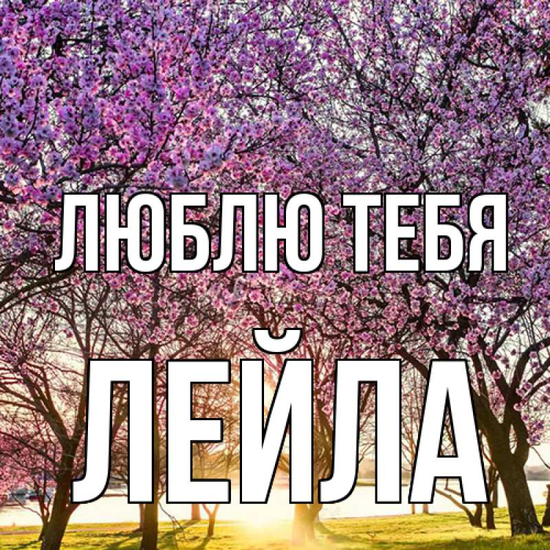 Открытка с именем, Лейла, Люблю тебя
