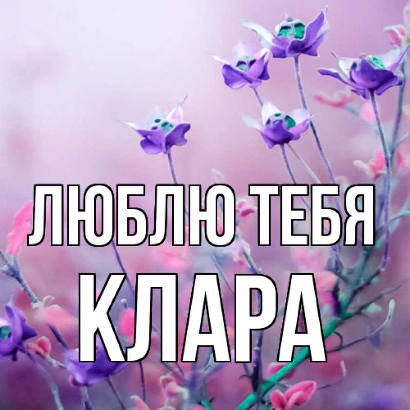 Картинка Люблю тебя, Клара