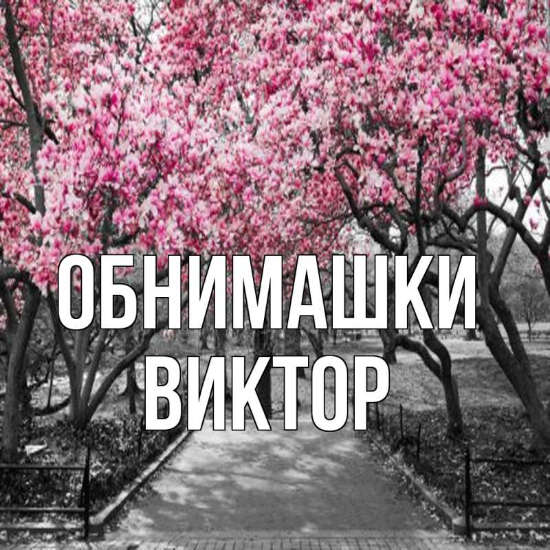 Картинка Обнимашки, Виктор