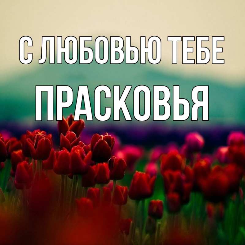 Картинка С любовью тебе, Прасковья