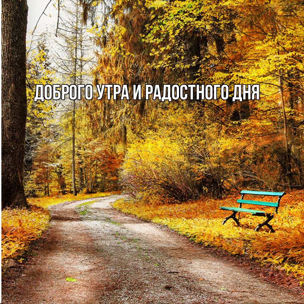 Открытка на каждый день с именем, Ия Не грусти все будет хорошо зеленая лавочка Прикольная открытка с пожеланием онлайн скачать бесплатно 