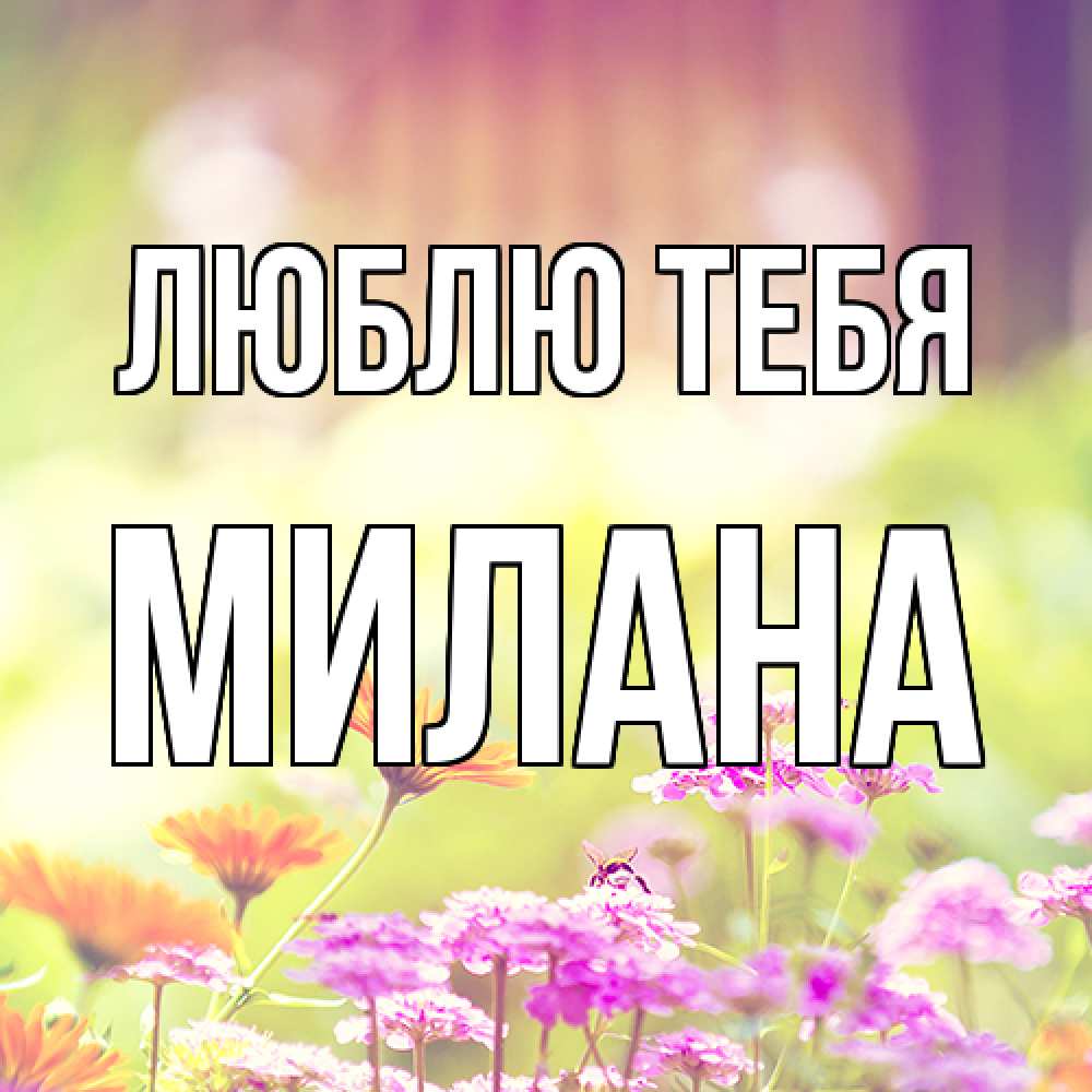 Открытка на каждый день с именем, Милана Люблю тебя цветы весна Прикольная открытка с пожеланием онлайн скачать бесплатно 