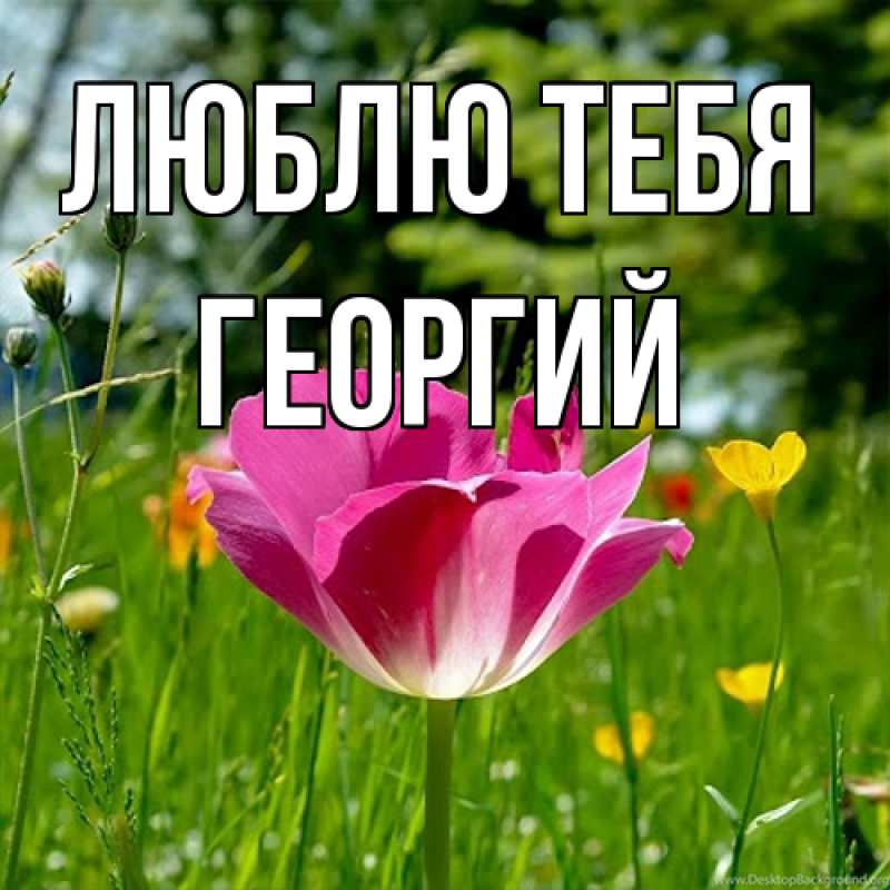 Картинка Люблю тебя, Георгий