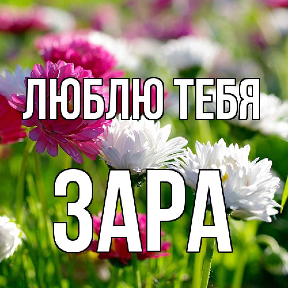 Открытка на каждый день с именем, Зара Люблю тебя международный женский день 1 Прикольная открытка с пожеланием онлайн скачать бесплатно 