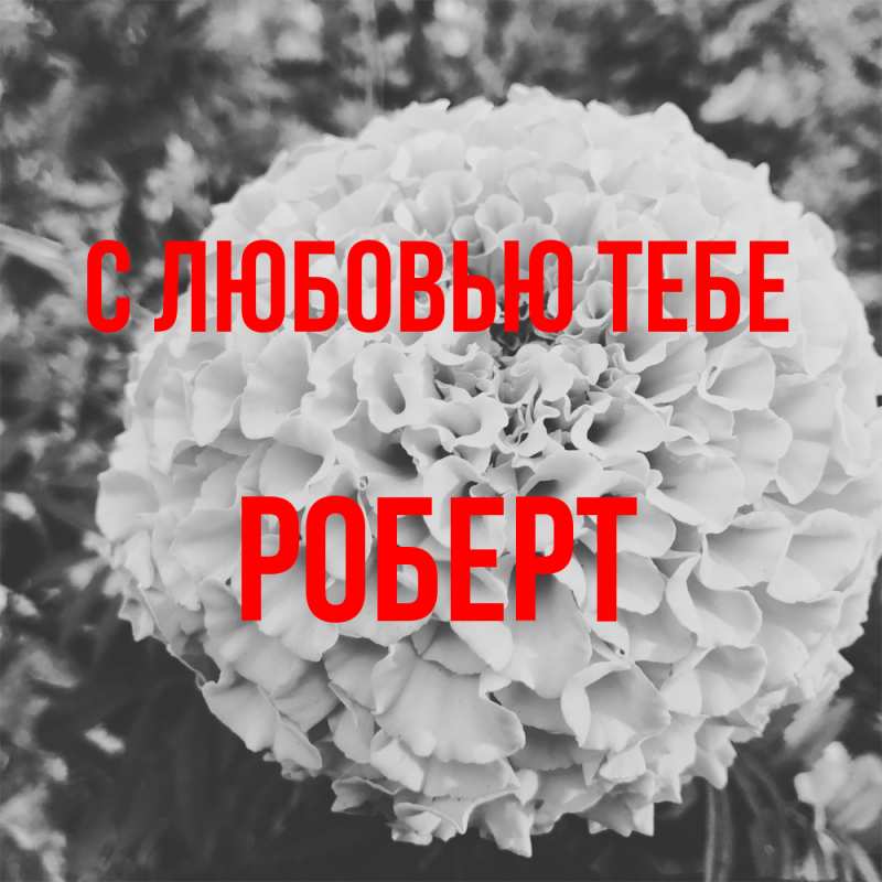 Картинка С любовью тебе, Роберт