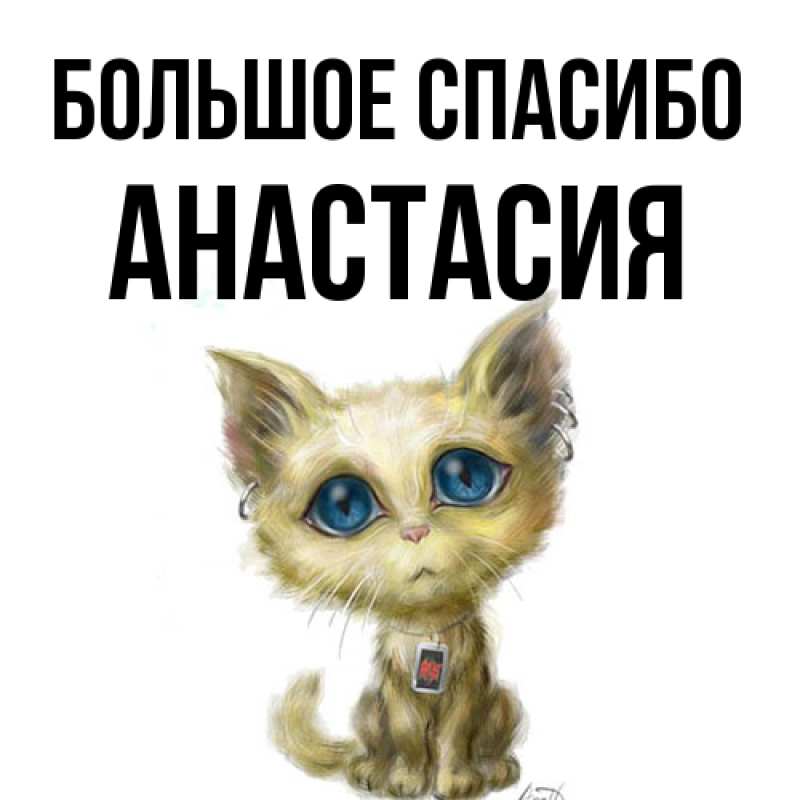Картинка Большое спасибо, Анастасия