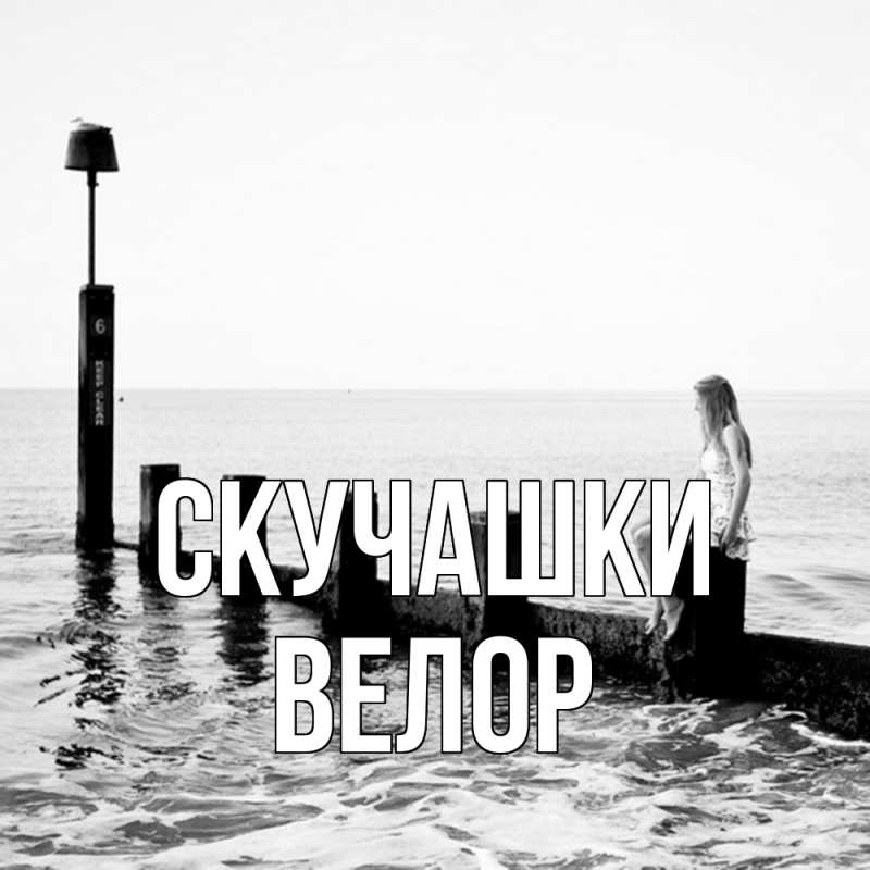Картинка Скучашки, Велор