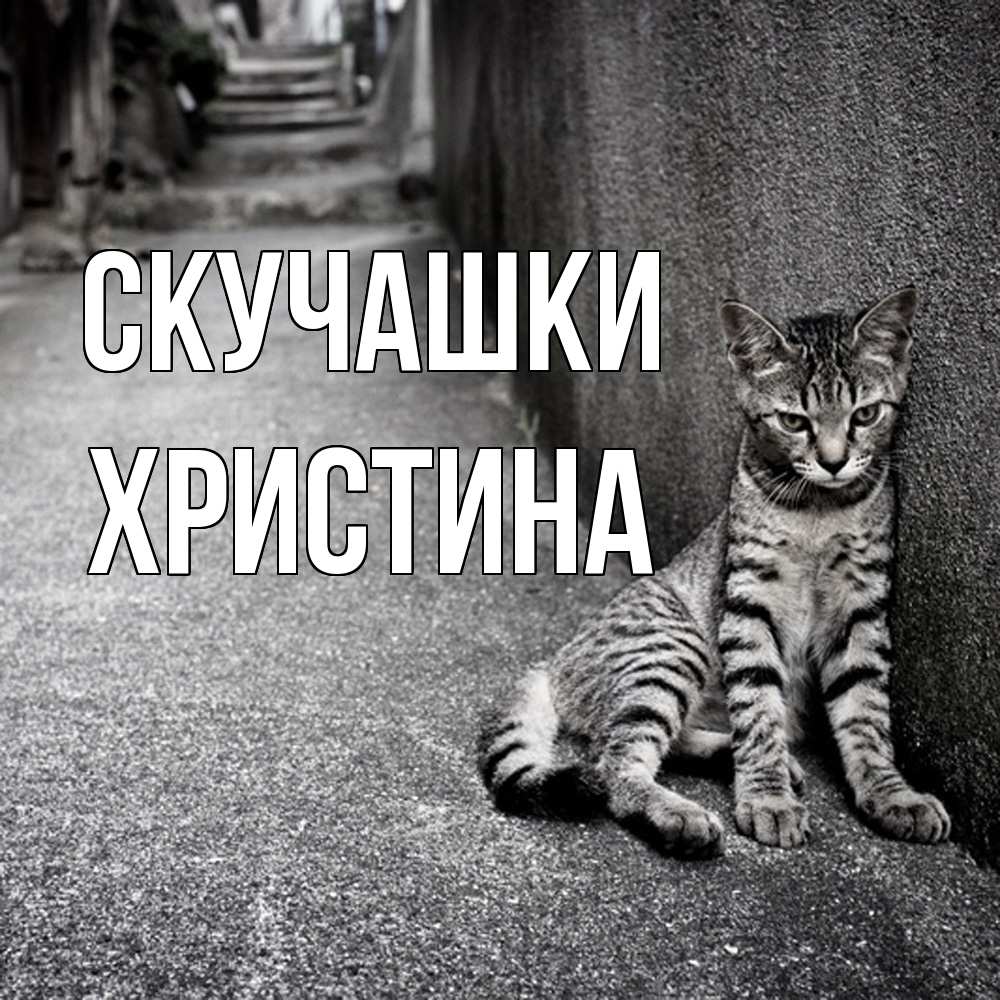 Открытка на каждый день с именем, Христина Скучашки одиноко котику Прикольная открытка с пожеланием онлайн скачать бесплатно 