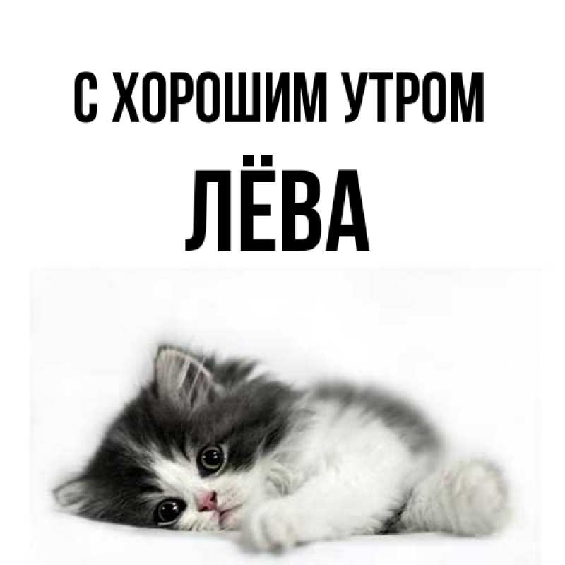 Картинка С хорошим утром, Лёва