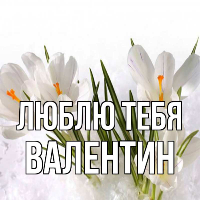 Картинка Люблю тебя, Валентин