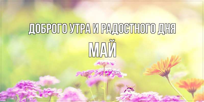 Картинка Доброго утра и радостного дня, Май