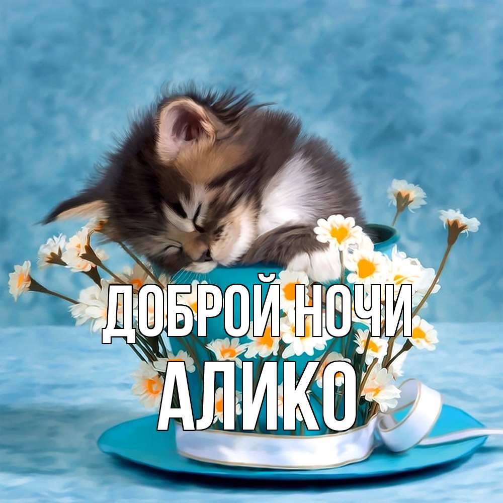 Открытка на каждый день с именем, Алико Доброй ночи котенок спит в кружке с блюдцем Прикольная открытка с пожеланием онлайн скачать бесплатно 