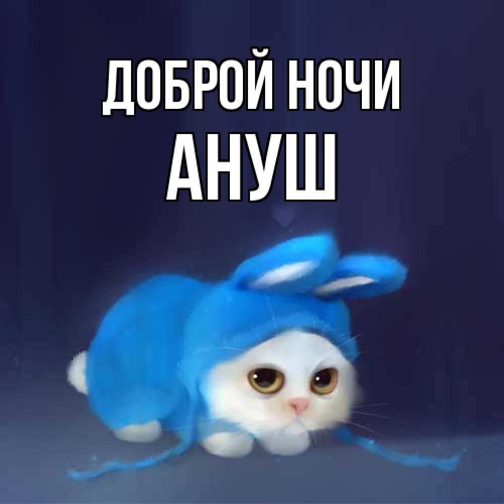 Открытка на каждый день с именем, Ануш Доброй ночи кот в голубом костюме кролика с ушками Прикольная открытка с пожеланием онлайн скачать бесплатно 