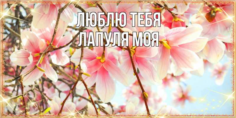 Картинка Люблю тебя, Лапуля моя