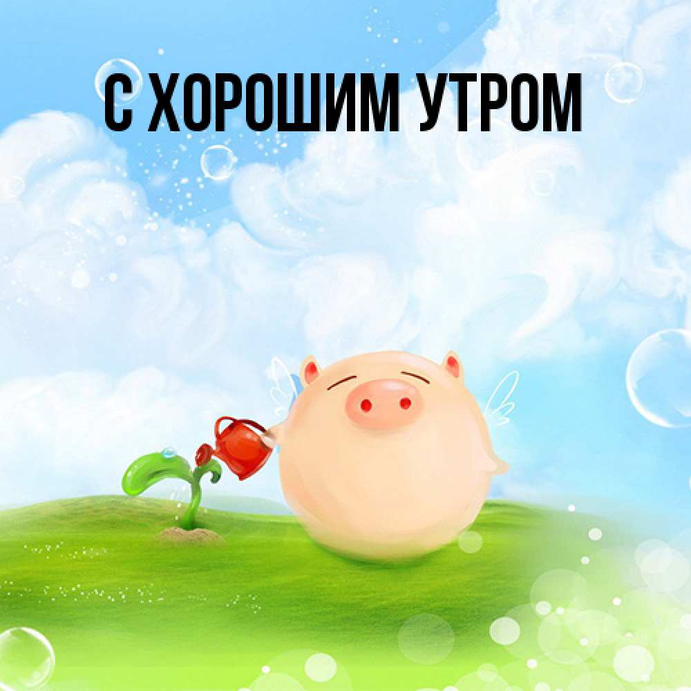 Открытка на каждый день с именем, Ануш Я жду тебя позитивная свинюшка Прикольная открытка с пожеланием онлайн скачать бесплатно 