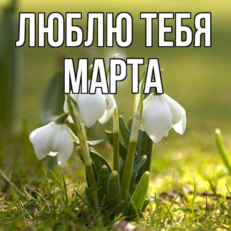 Картинка Люблю тебя, Марта