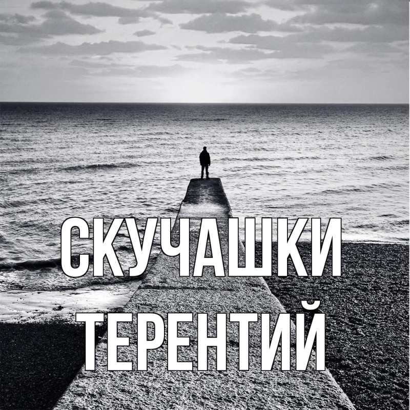 Картинка Скучашки, Терентий