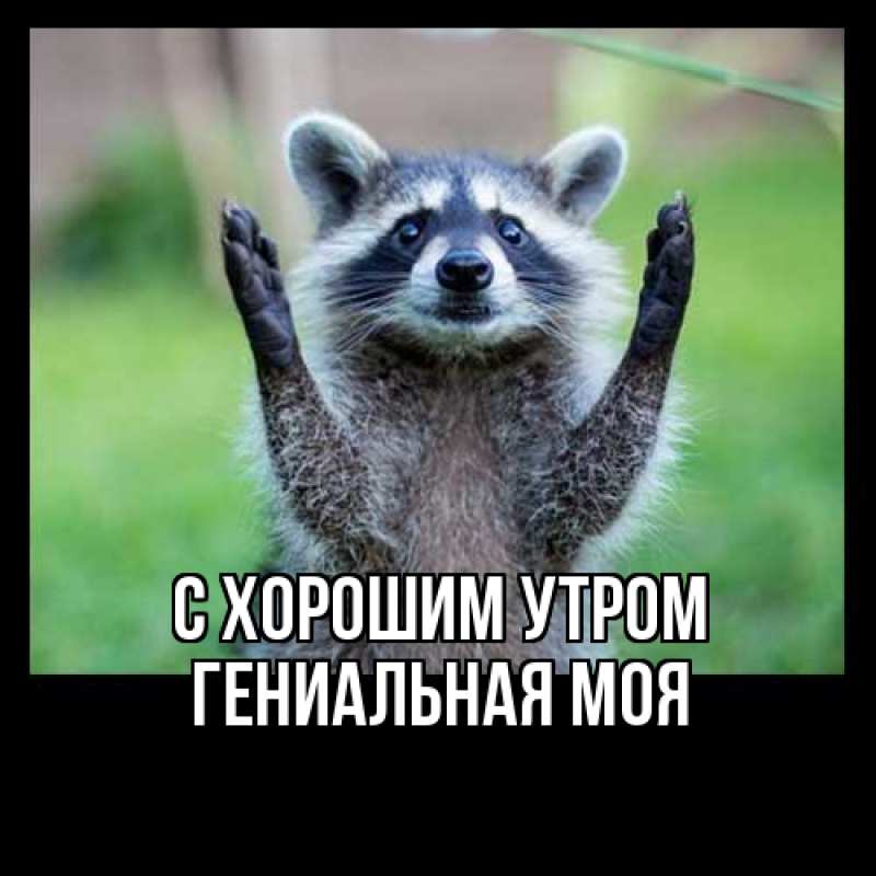 Картинка С хорошим утром, Гениальная моя