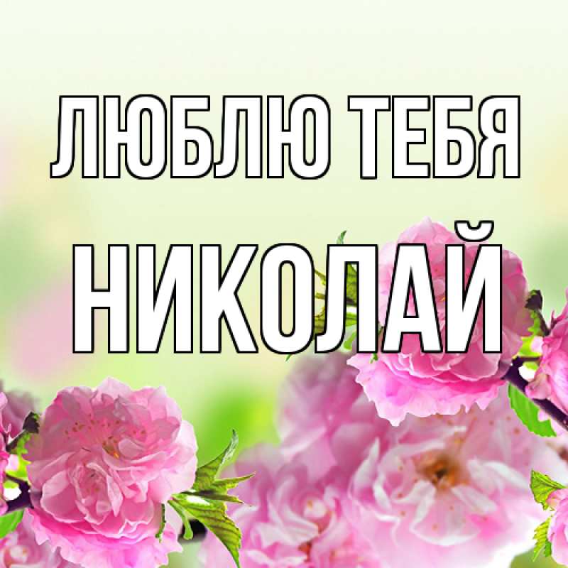 Картинка Люблю тебя, Николай