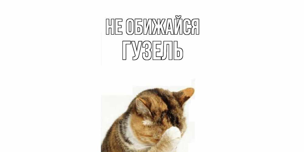 Открытка на каждый день с именем, Гузель Не обижайся кот Прикольная открытка с пожеланием онлайн скачать бесплатно 