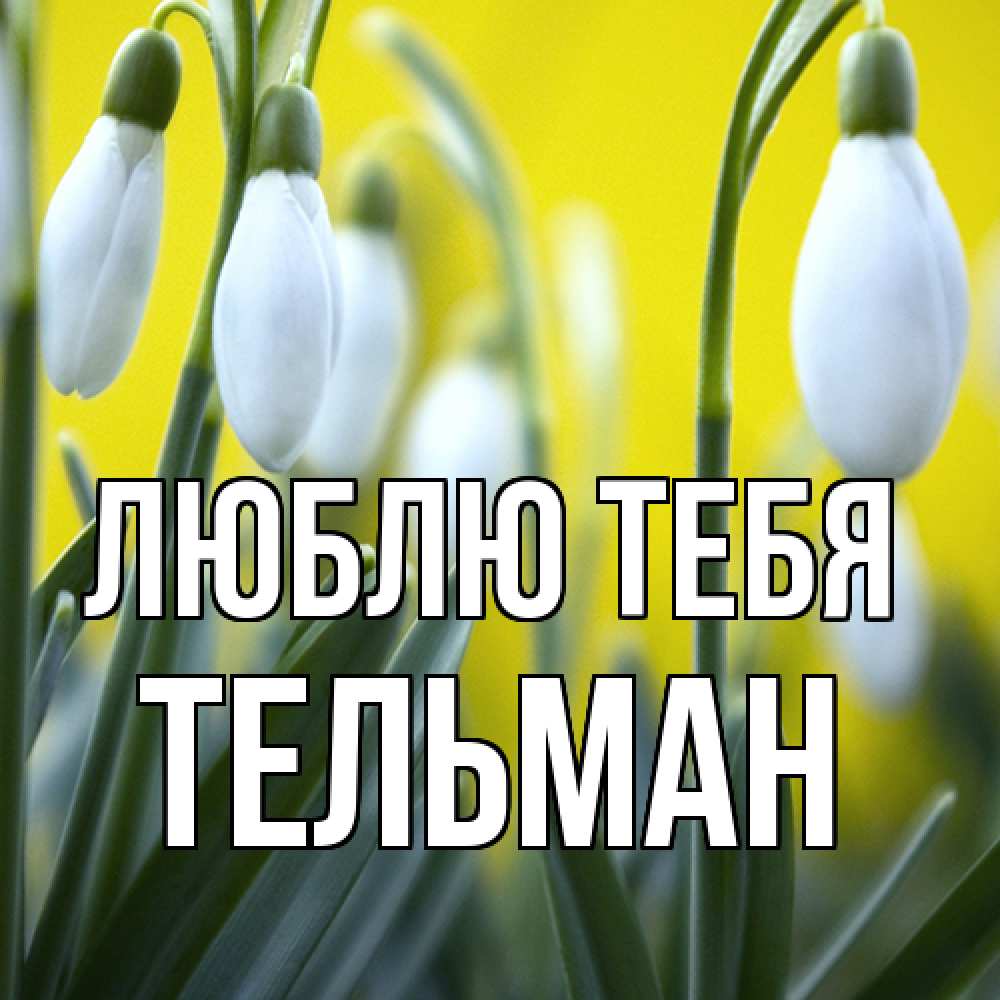 Открытка на каждый день с именем, Тельман Люблю тебя весенние цветы Прикольная открытка с пожеланием онлайн скачать бесплатно 