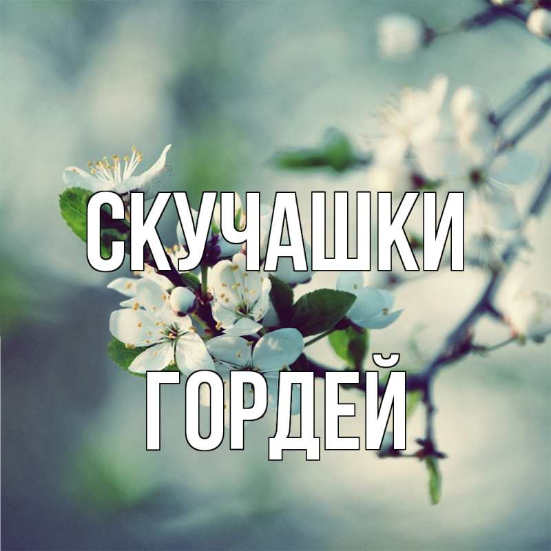 Открытка с именем, Гордей, Скучашки