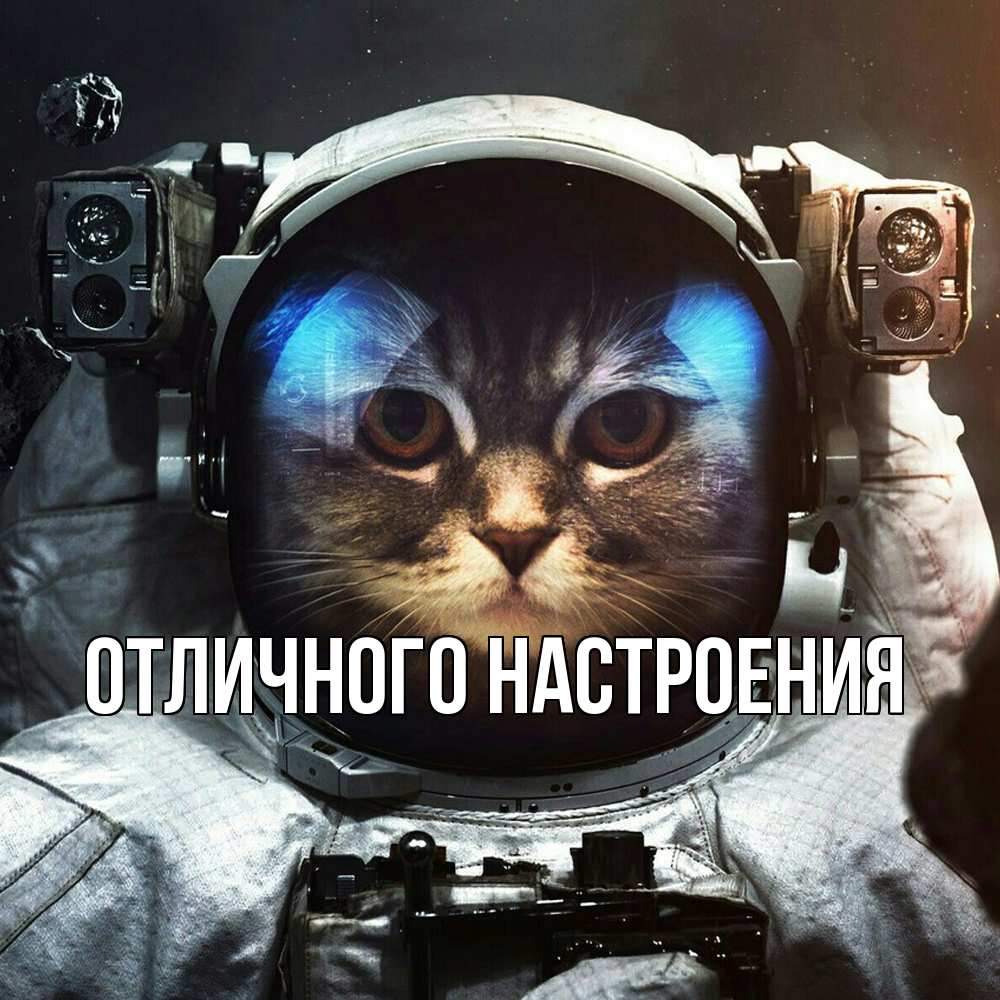 Открытка на каждый день с именем, Муза Удачной поездки желает удачно добраться Прикольная открытка с пожеланием онлайн скачать бесплатно 