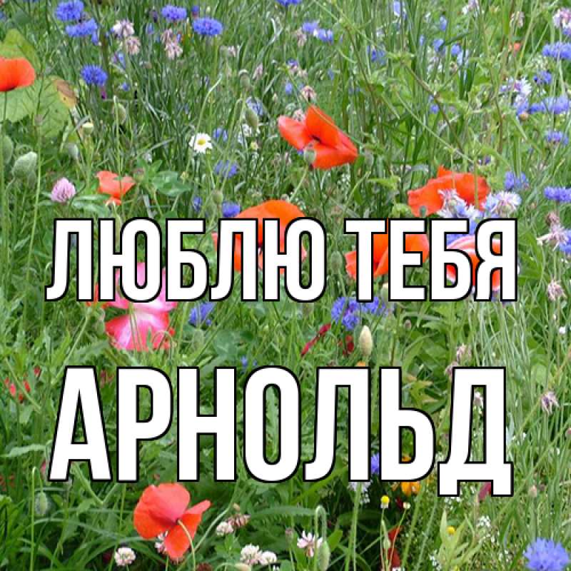Открытка с именем, Арнольд, Люблю тебя