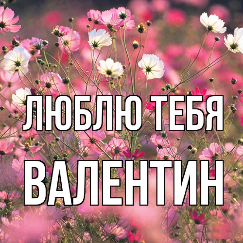Картинка Люблю тебя, Валентин