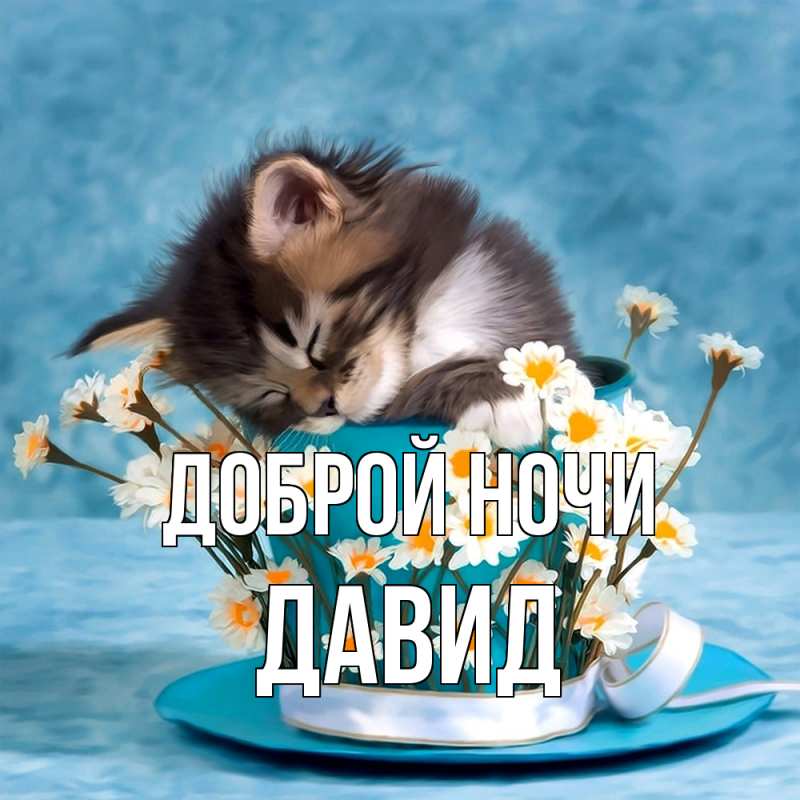 Картинка Доброй ночи, Давид