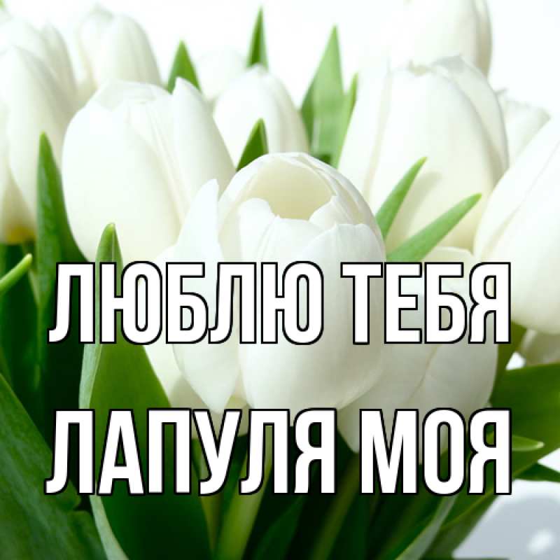 Картинка Люблю тебя, Лапуля моя