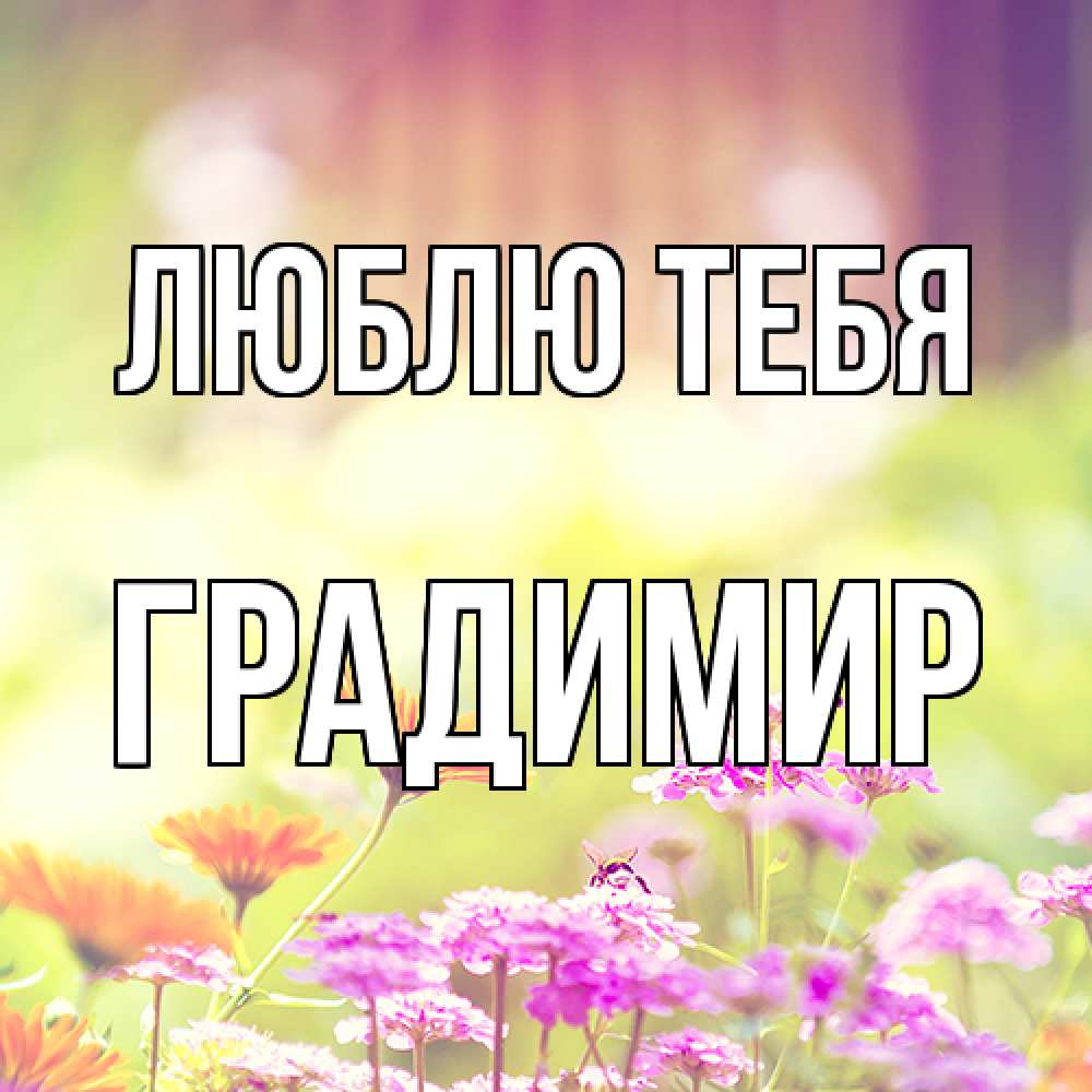 Открытка на каждый день с именем, Градимир Люблю тебя цветы весна Прикольная открытка с пожеланием онлайн скачать бесплатно 