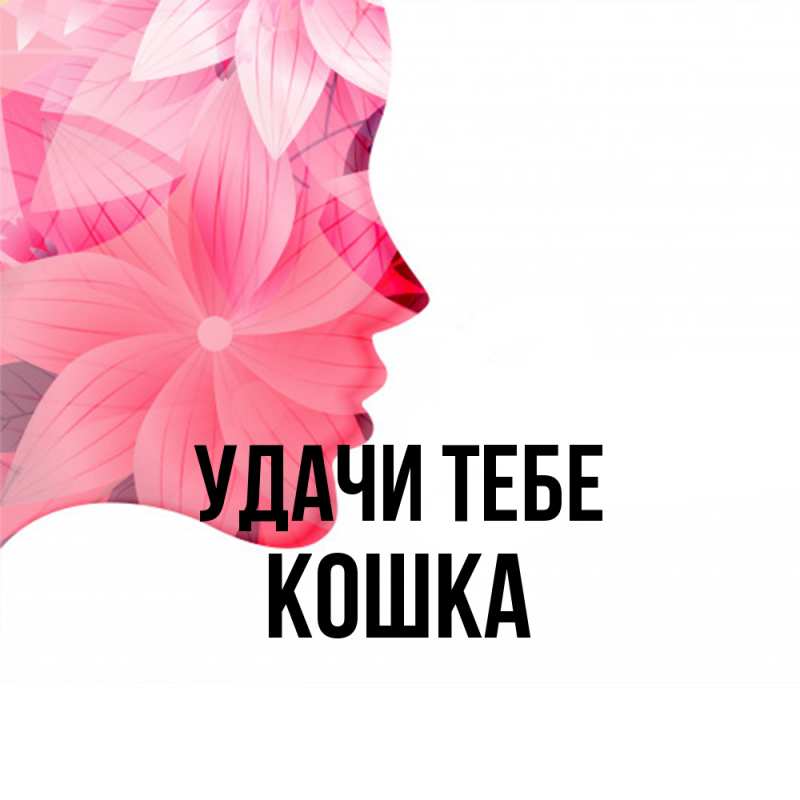 Картинка Удачи тебе, Кошка