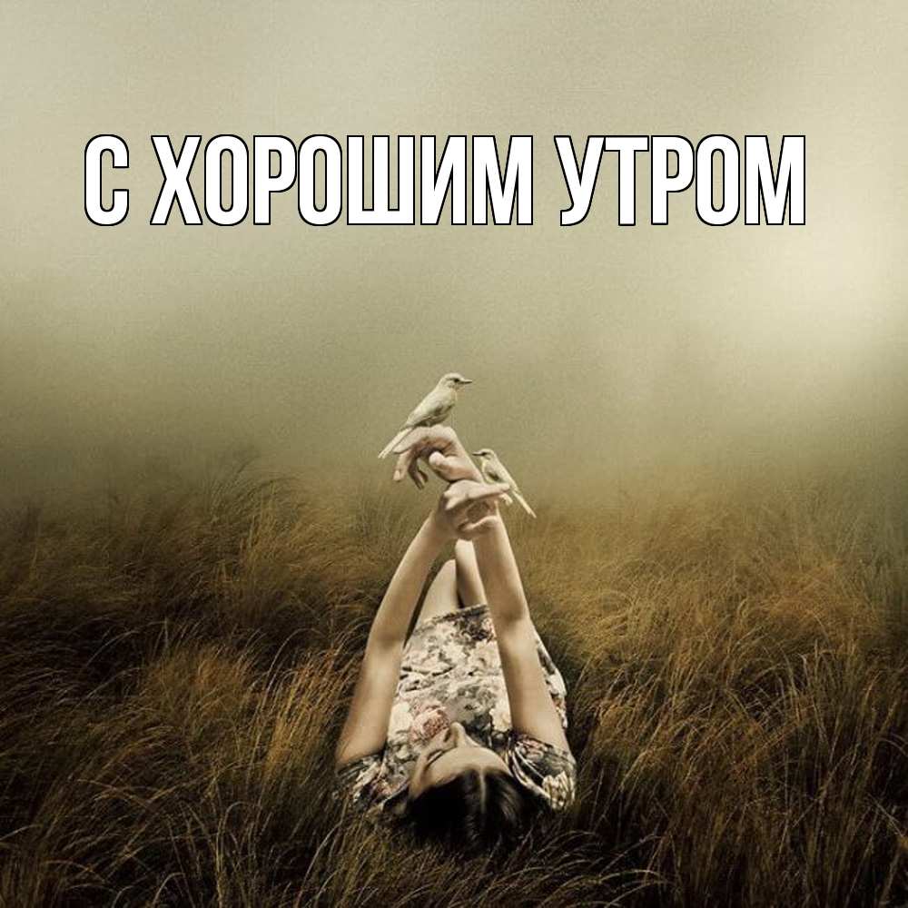 Открытка на каждый день с именем, Нестор Скучашки девушка с голубями Прикольная открытка с пожеланием онлайн скачать бесплатно 