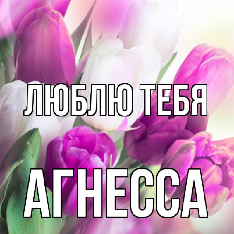 Картинка Люблю тебя, Агнесса