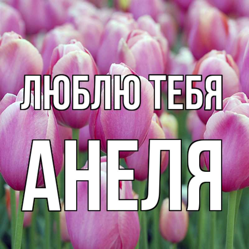 Картинка Люблю тебя, Анеля