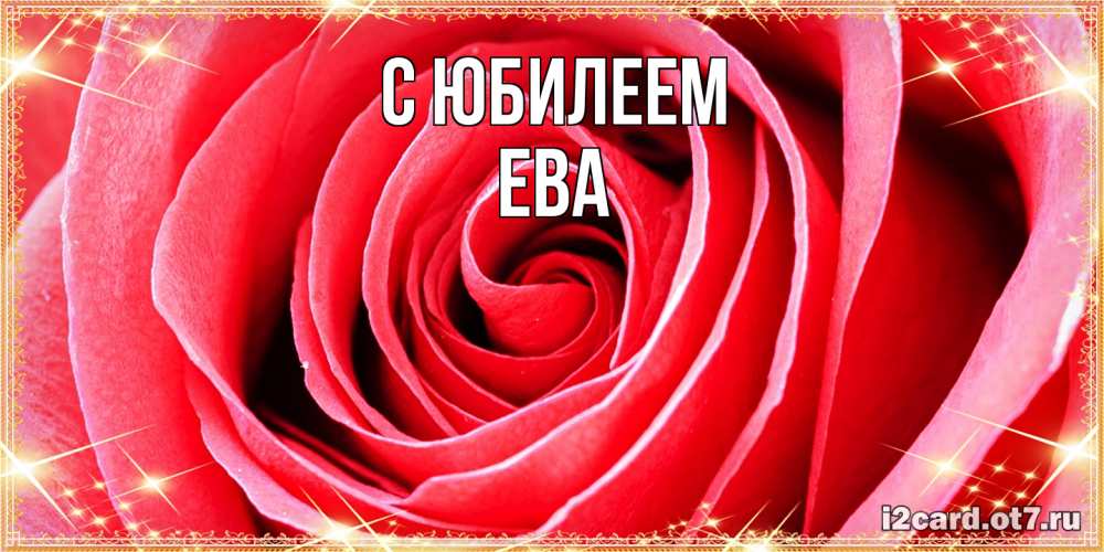 Открытка на каждый день с именем, Ева C юбилеем розовая роза очень крупный бутон Прикольная открытка с пожеланием онлайн скачать бесплатно 