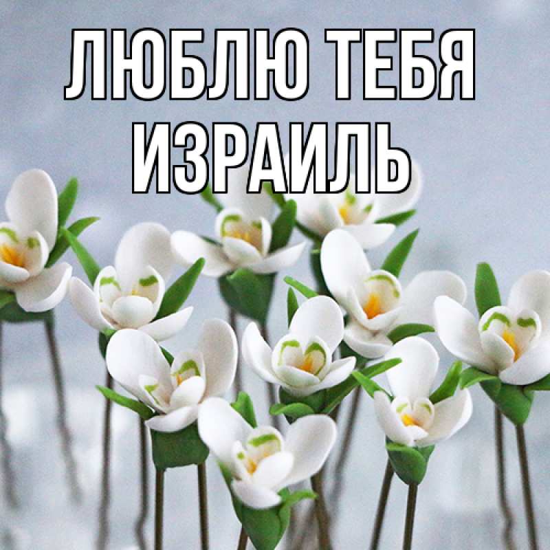 Открытка с именем, Израиль, Люблю тебя