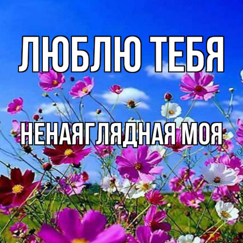 Картинка Люблю тебя, Ненаяглядная моя