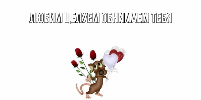 Картинка Не обижайся, Грациозная моя