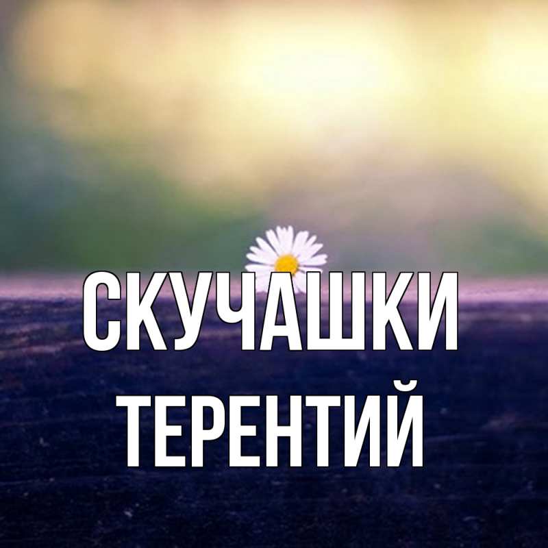 Картинка Скучашки, Терентий