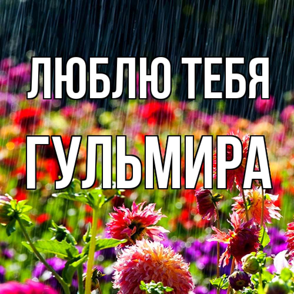Открытка на каждый день с именем, Гульмира Люблю тебя цветы под дождиком к международному женскому дню Прикольная открытка с пожеланием онлайн скачать бесплатно 