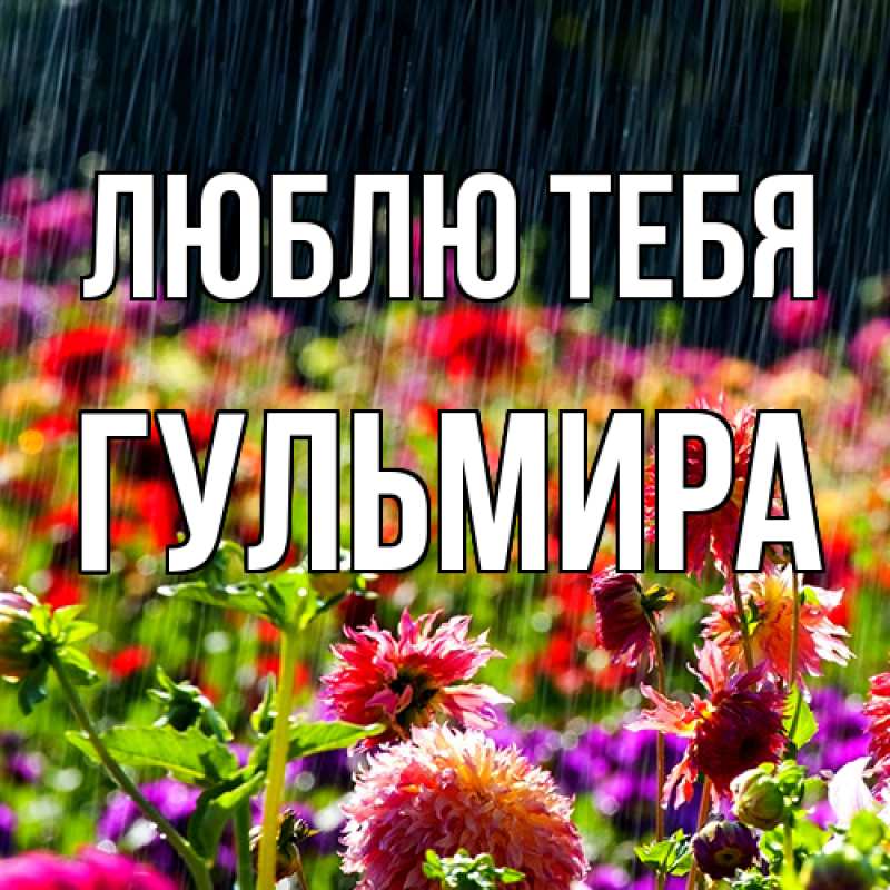 Картинка Люблю тебя, Гульмира