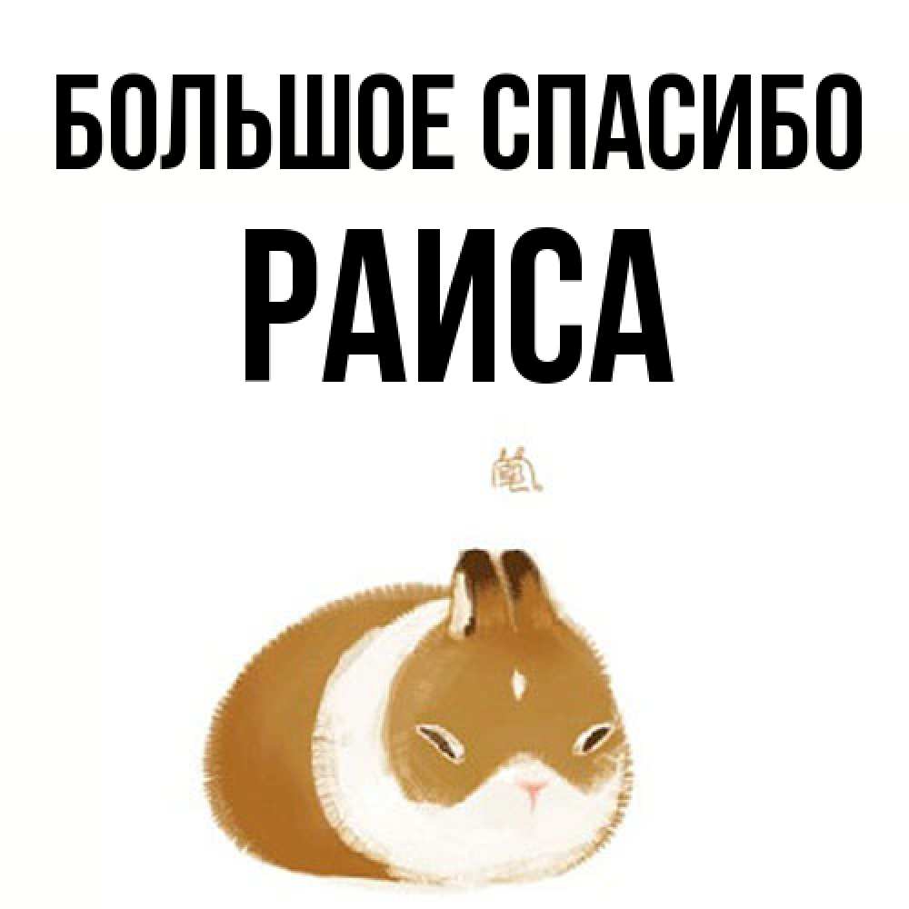 Открытка на каждый день с именем, Раиса Большое спасибо коричнево белый домашний питомец Прикольная открытка с пожеланием онлайн скачать бесплатно 
